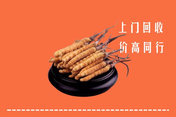 高价求购：朔州市回收散虫草