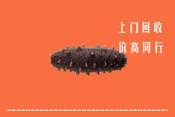 高价求购：朔州市回收海参